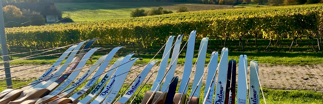 Bogenschießen als Betriebsausflug