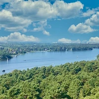 Ausblick Grunewaldturm Berlin